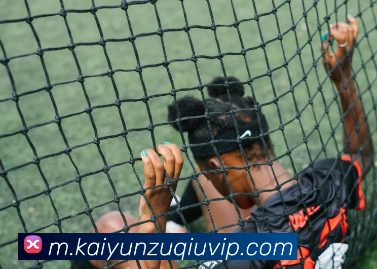 开云体育APP 封面图